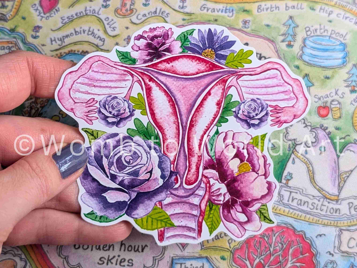 Uterus Anatomy Art Sticker 10cm Vinyl