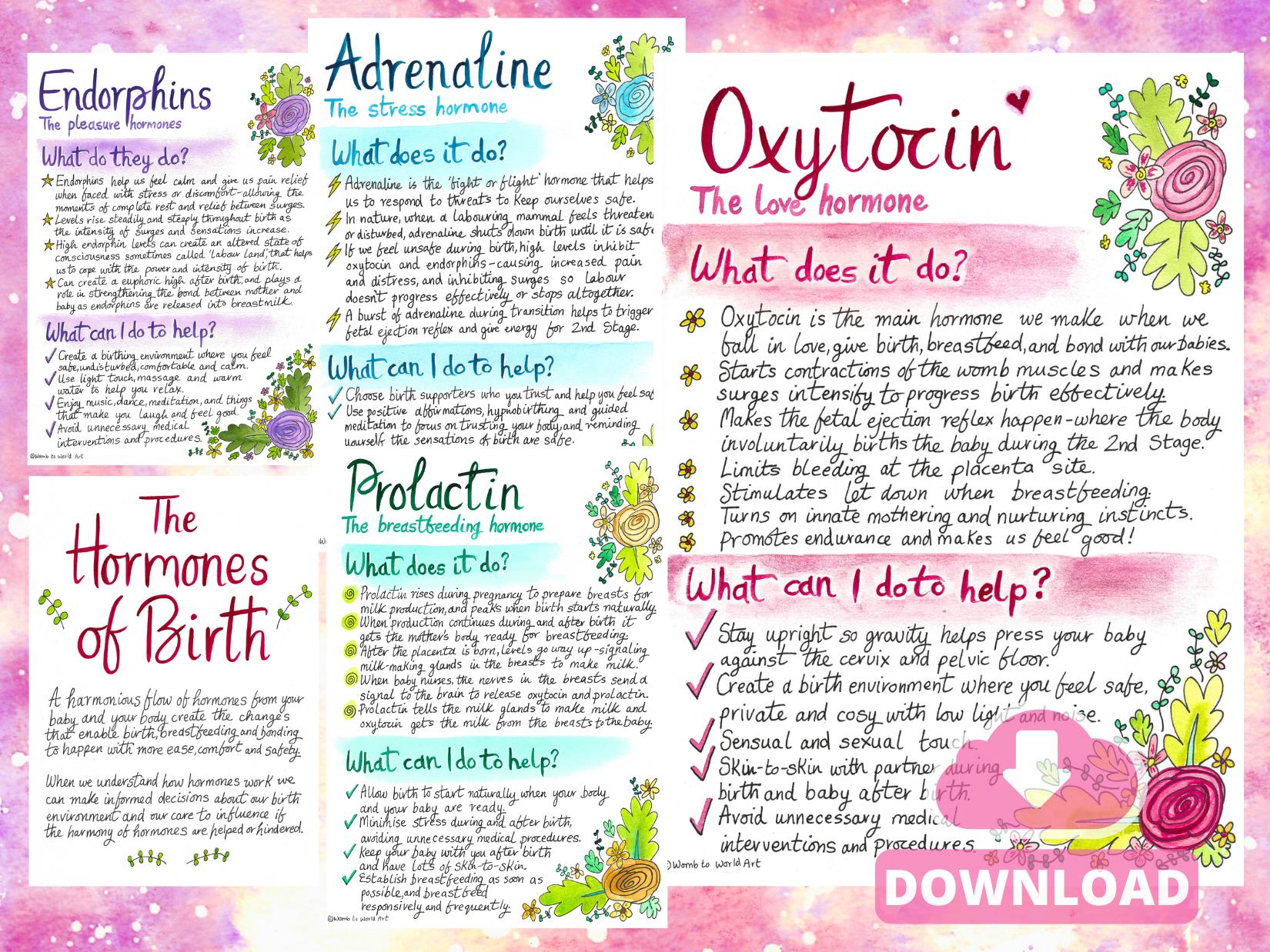 Hormones of Birth Hypnobirthing Handout: Doula Printouts for Antenatal Education Oxytocin (PDF Download)