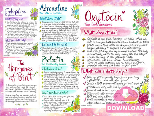 Hormones of Birth Hypnobirthing Handout: Doula Printouts for Antenatal Education Oxytocin (PDF Download)