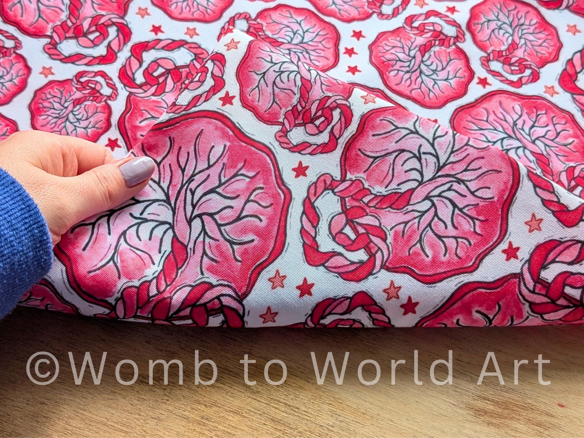 Student Midwife Placenta Bag
