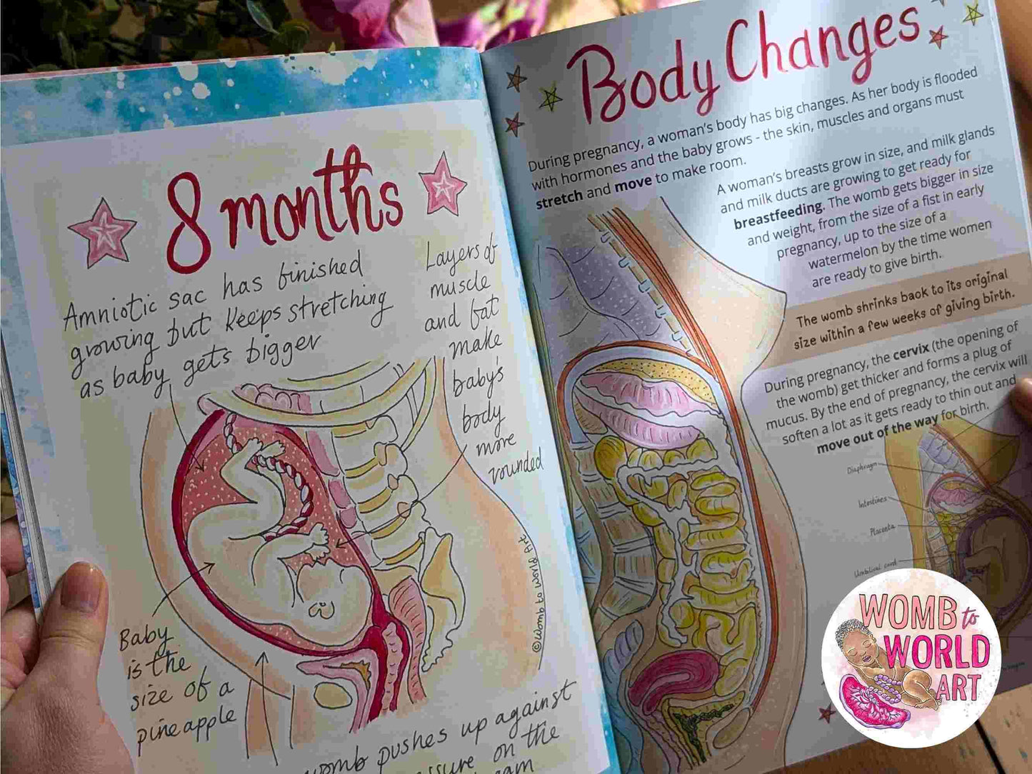 Children's Pregnancy & Birth Education Book | New Baby Book | Big Brother or Sister Gifts | Homebirth Gifts | Breastfeeding