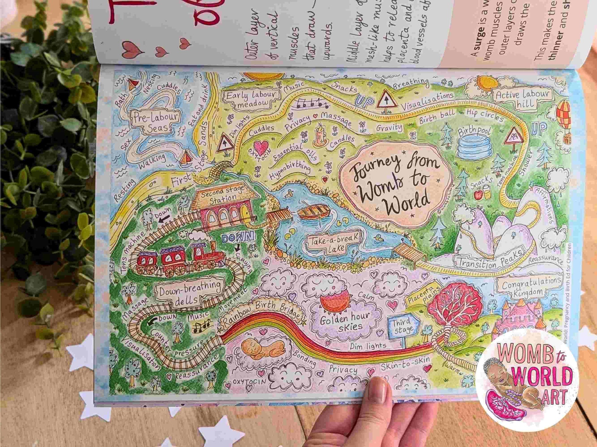 Children's Pregnancy & Birth Education Book | New Baby Book | Big Brother or Sister Gifts | Homebirth Gifts | Breastfeeding