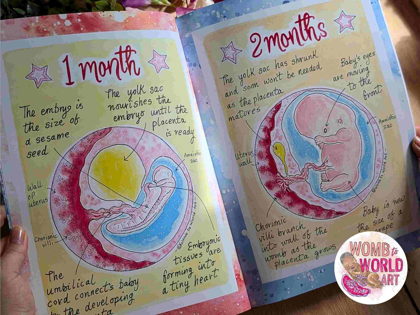 Children's Pregnancy & Birth Education Book | New Baby Book | Big Brother or Sister Gifts | Homebirth Gifts | Breastfeeding