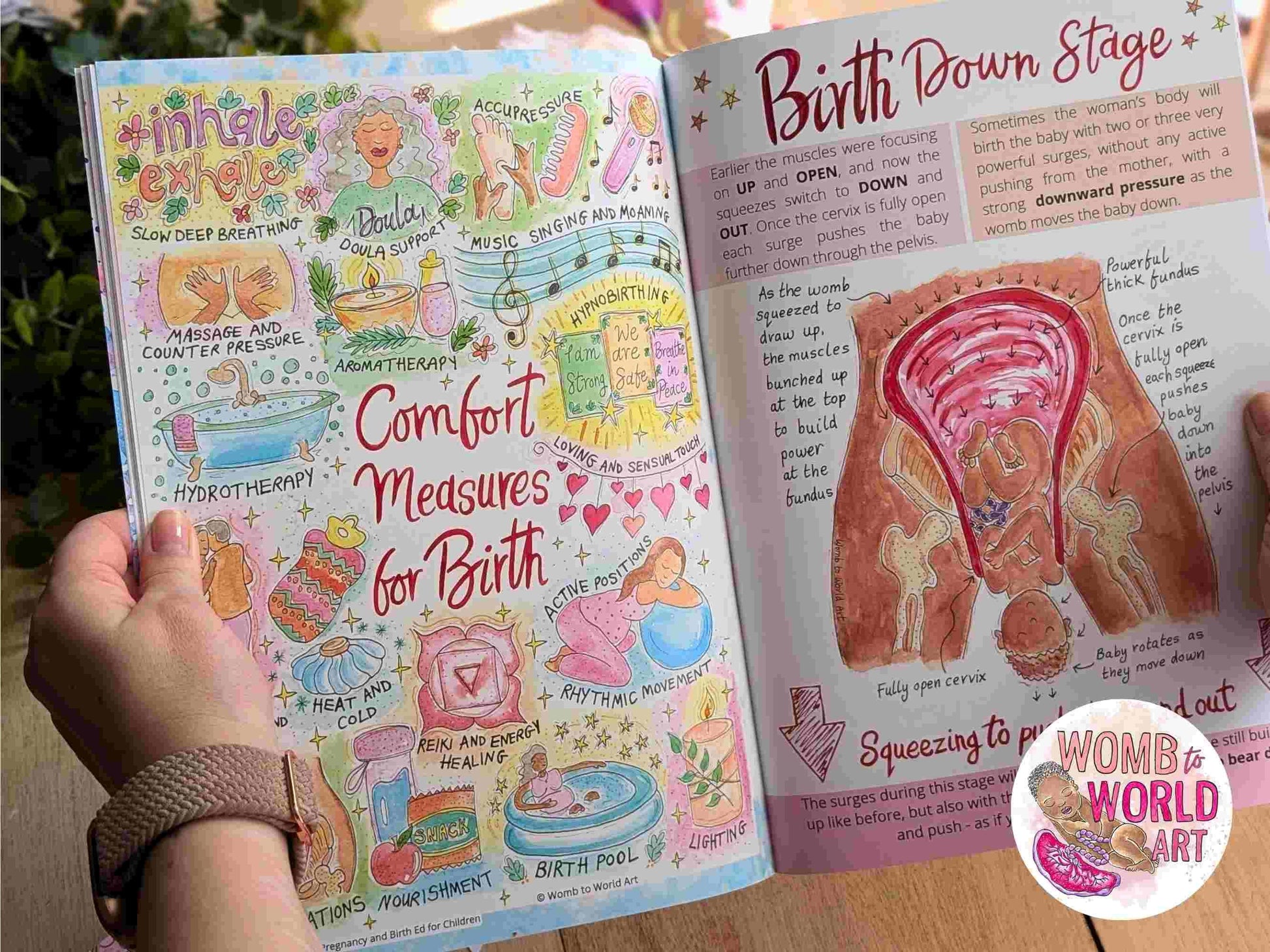 Children's Pregnancy & Birth Education Book | New Baby Book | Big Brother or Sister Gifts | Homebirth Gifts | Breastfeeding