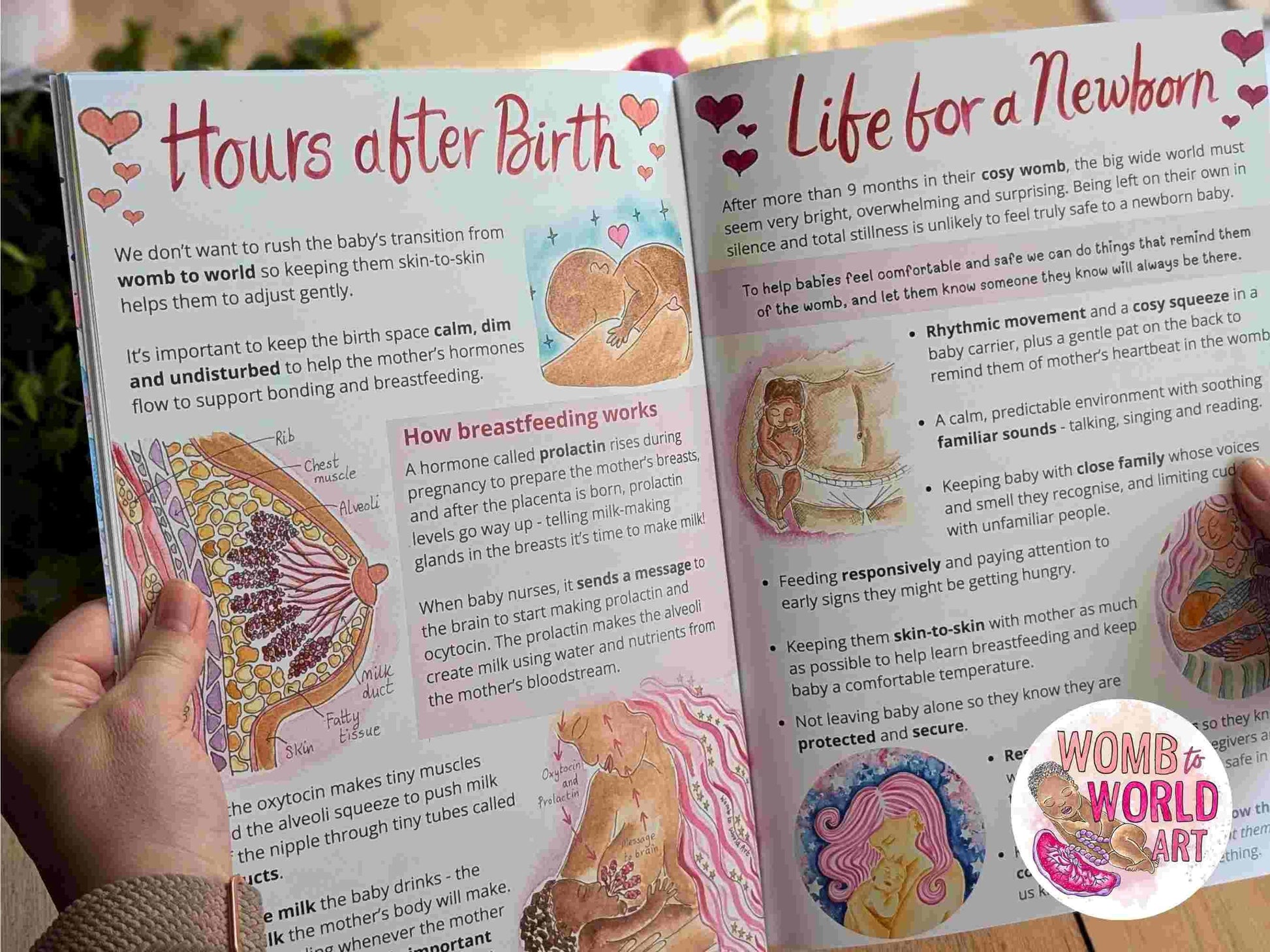 Children's Pregnancy & Birth Education Book | New Baby Book | Big Brother or Sister Gifts | Homebirth Gifts | Breastfeeding