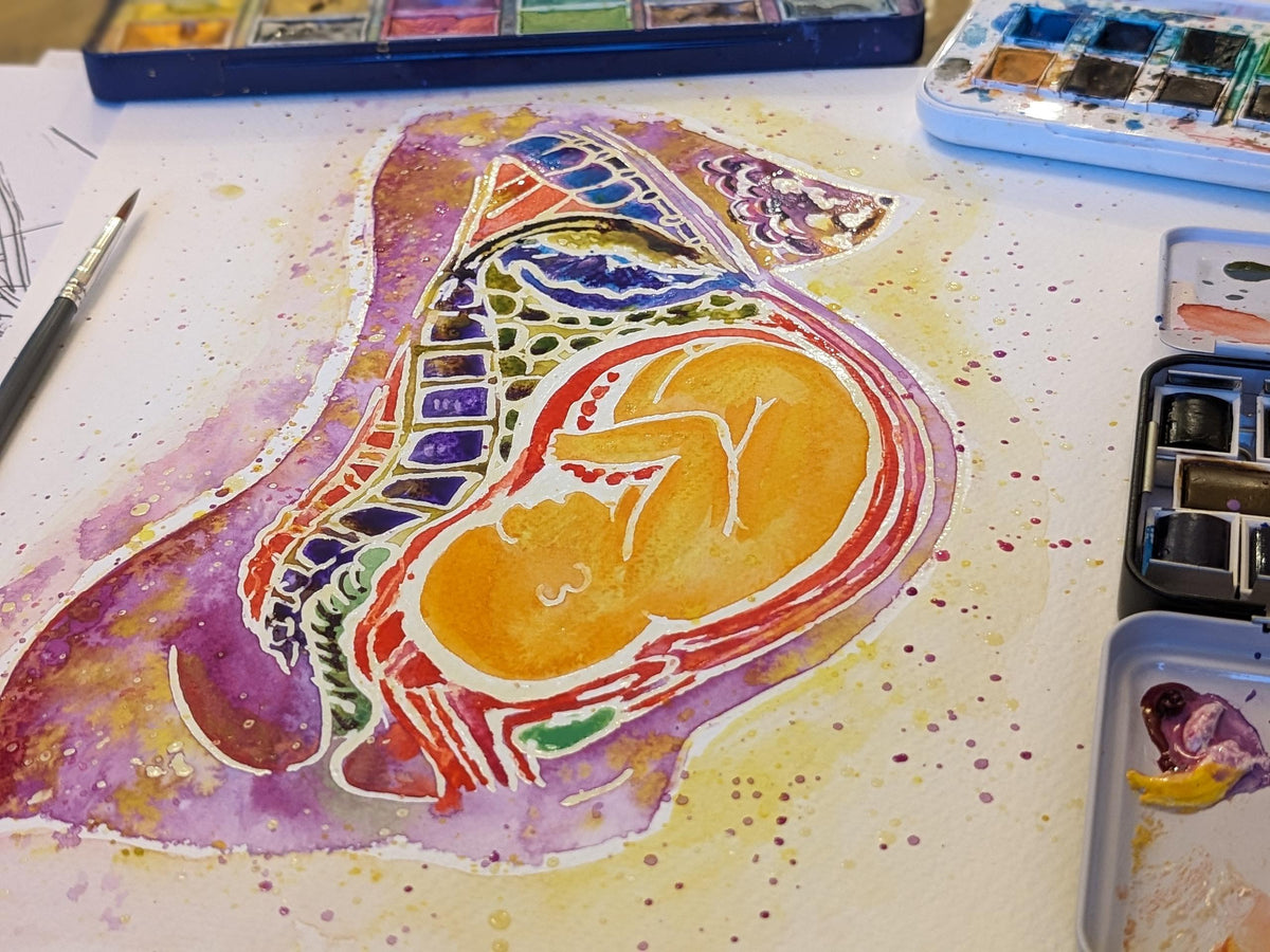 Pregnancy Anatomy Watercolour Art Print: Birth Education (PDF Download)