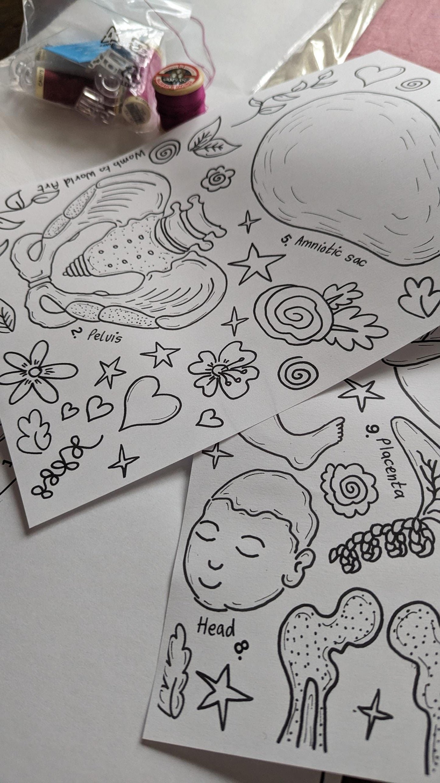 Pregnancy Anatomy Art Kit PDF Download