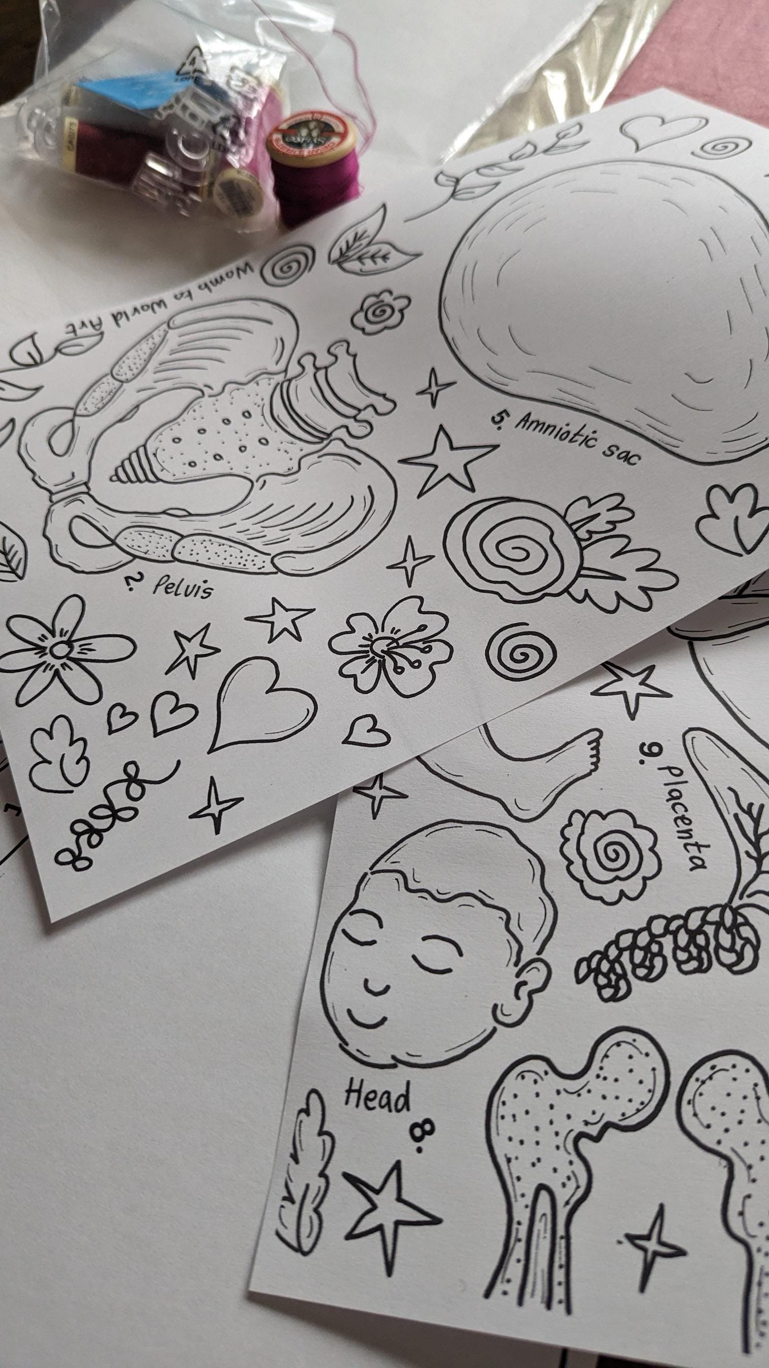 Pregnancy Anatomy Art Kit PDF Download