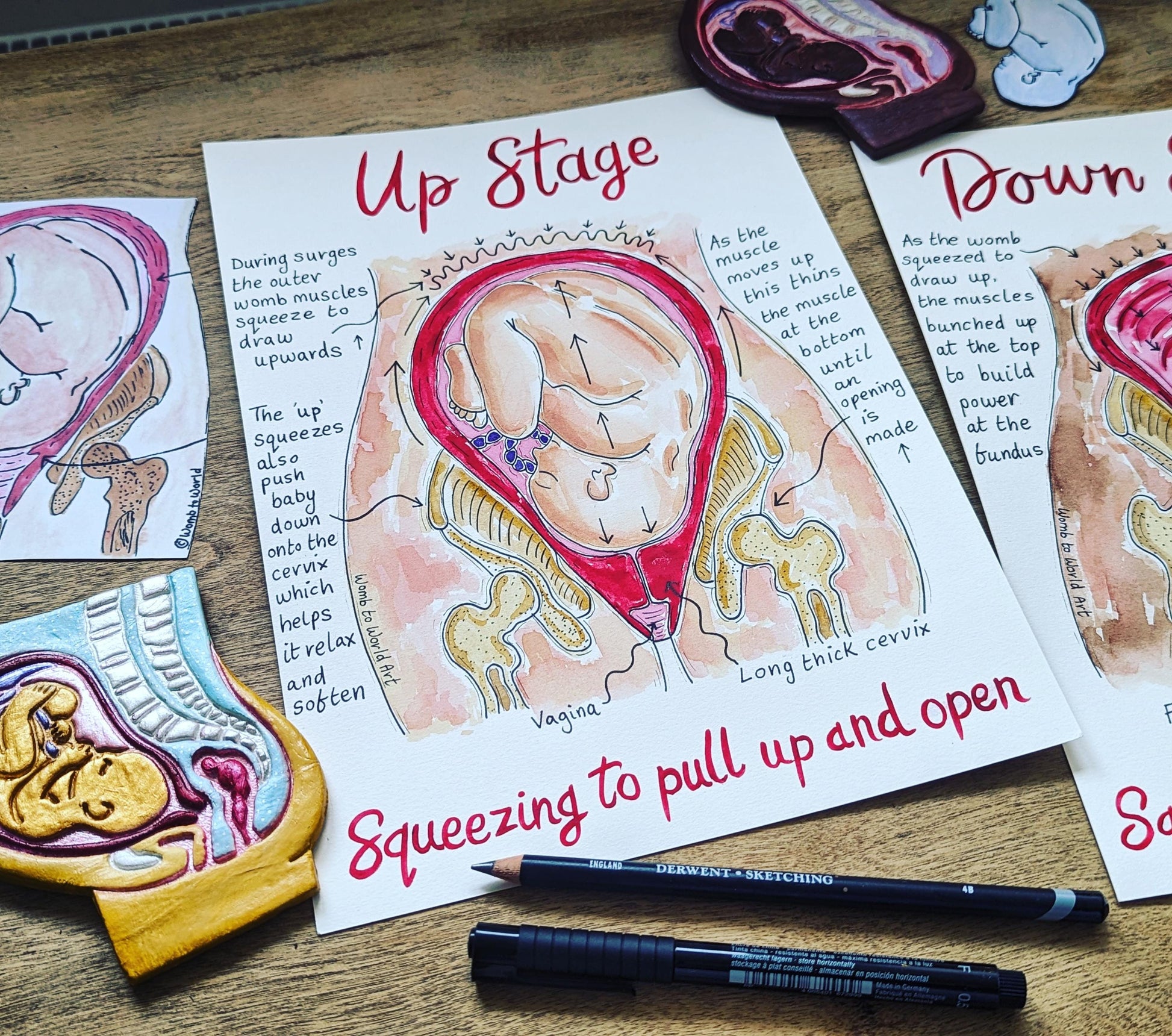 Hypnobirthing Stages Diagram: Labour & Birth Education Illustration for Hypnobirthing (PDF Download)