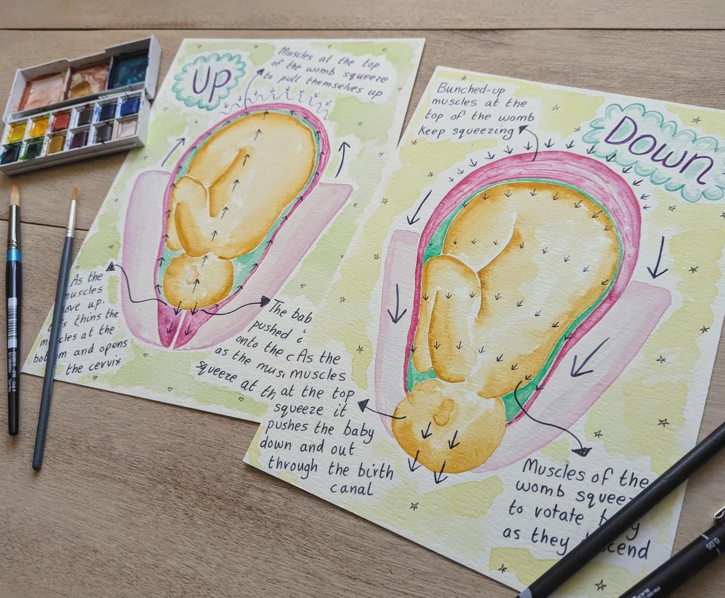 Hypnobirthing Labour Stages Diagrams, Watercolour Womb Illustrations for Doulas to Print (PDF Download)