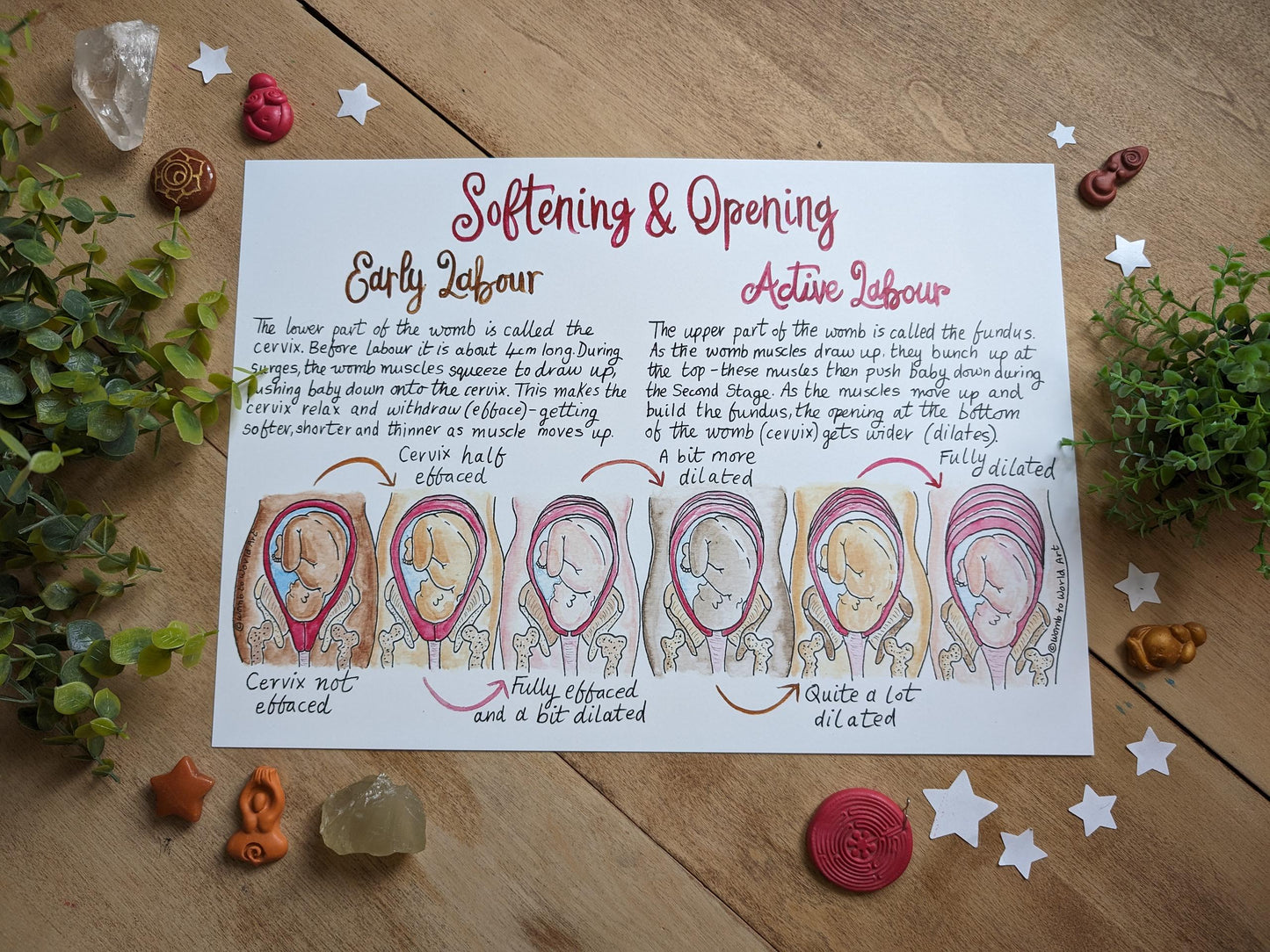 Hypnobirthing Cervical Dilation Handout: Labour Education Diagrams for Doulas and Antenatal (PDF Download)