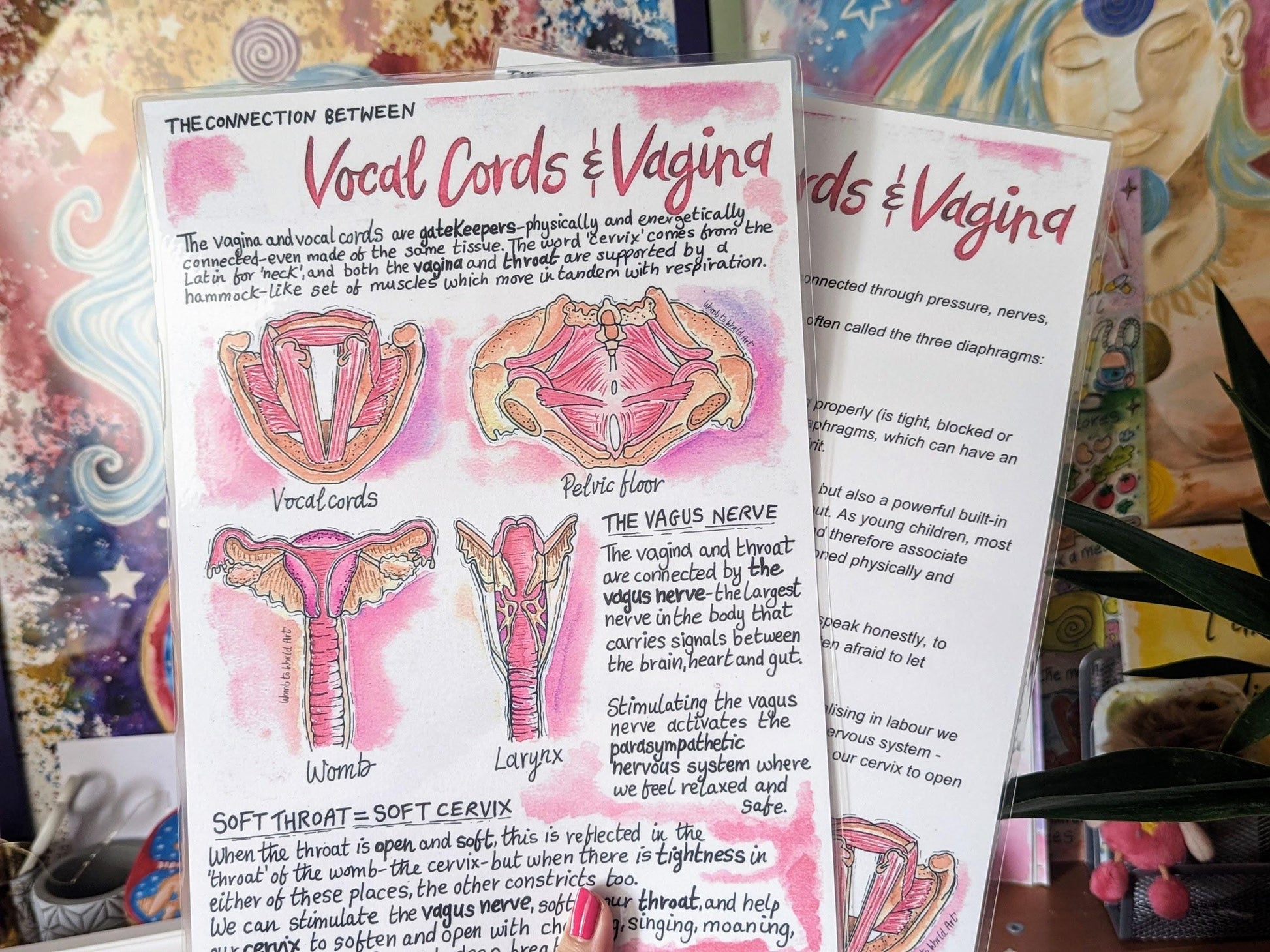 Vagina Vocal Cord Connection Diagrams: Antenatal Birth Education Handouts for Doulas and Hypnobirthing (PDF)