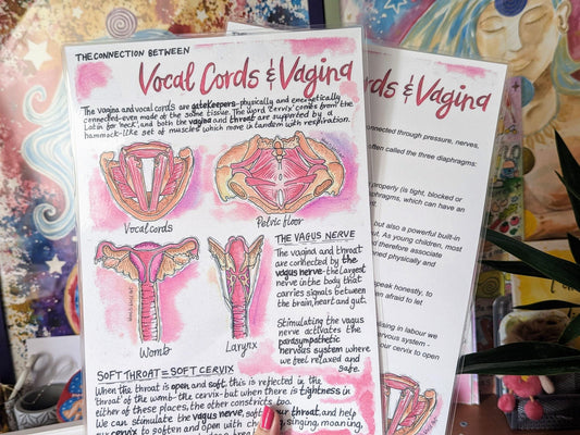 Vagina Vocal Cord Connection Diagrams: Antenatal Birth Education Handouts for Doulas and Hypnobirthing (PDF)