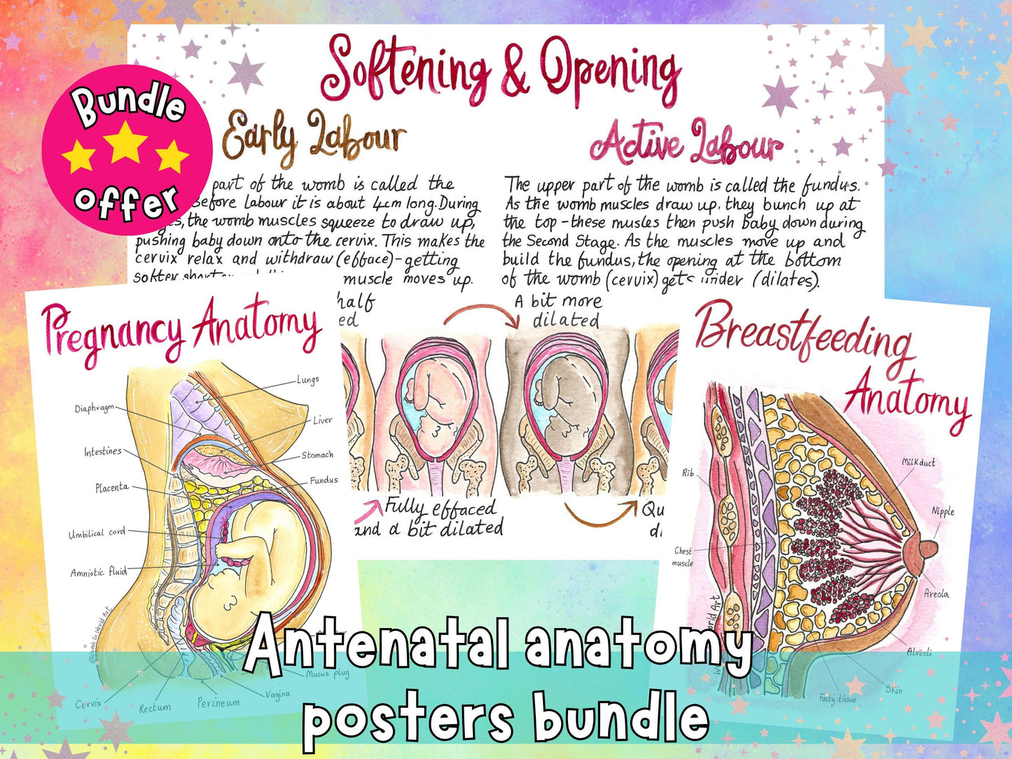 Pregnancy Posters Bundle for Antenatal Teachers, Doulas, Midwives and Childbirth Education