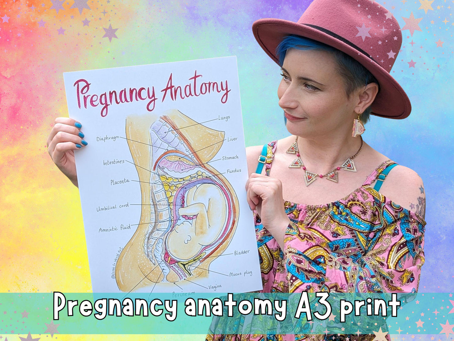 Pregnancy Posters Bundle for Antenatal Teachers, Doulas, Midwives and Childbirth Education