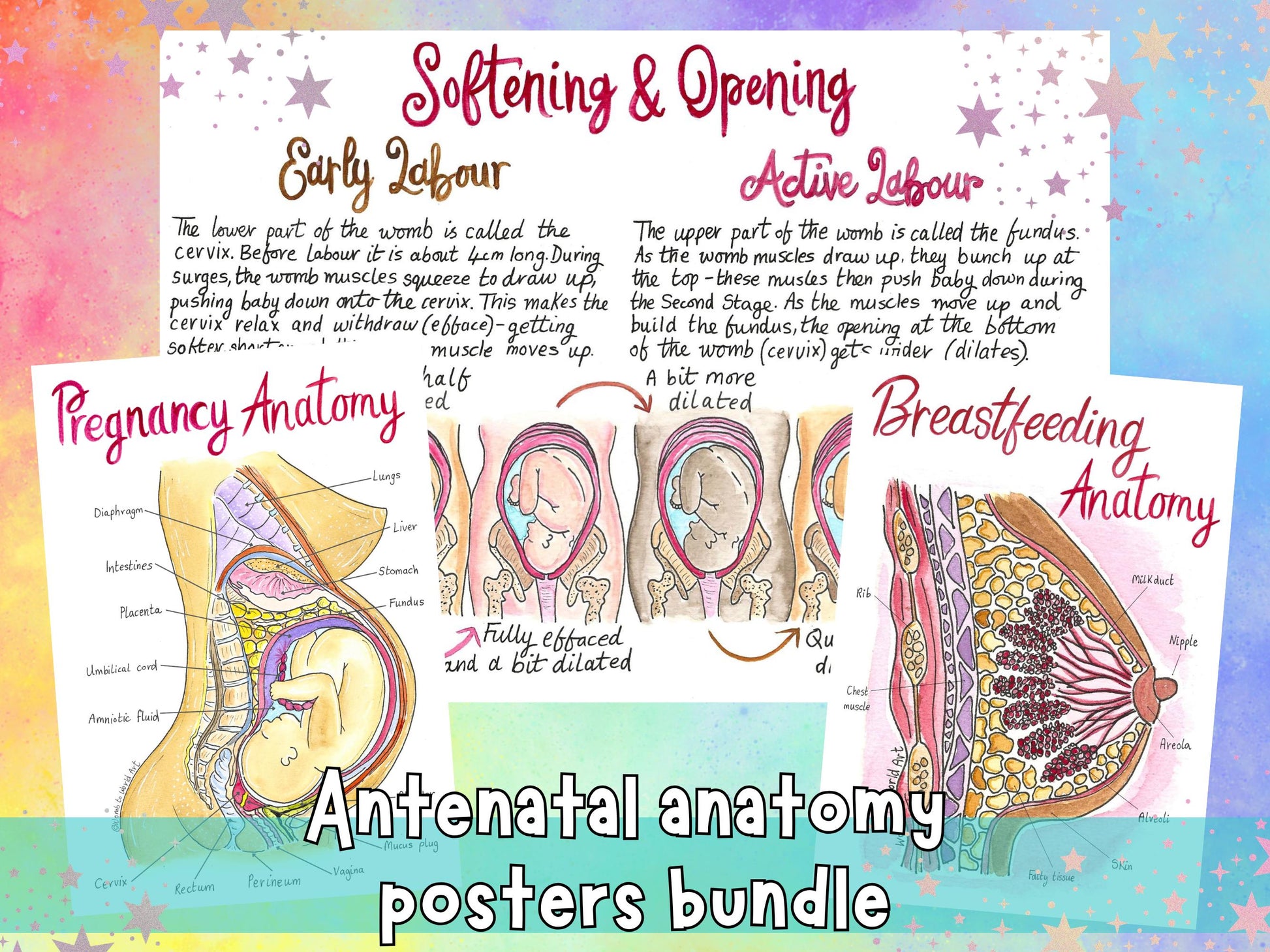 Pregnancy Posters Bundle for Antenatal Teachers, Doulas, Midwives and Childbirth Education