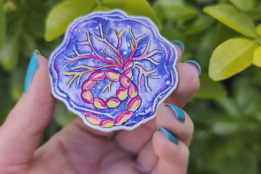 Placenta Magnet