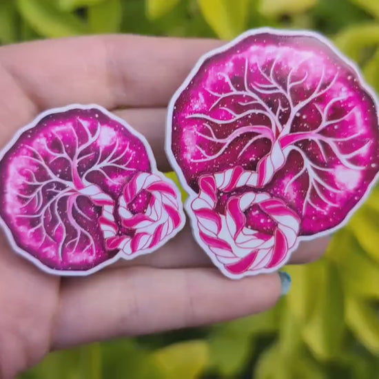 Placenta Magnet