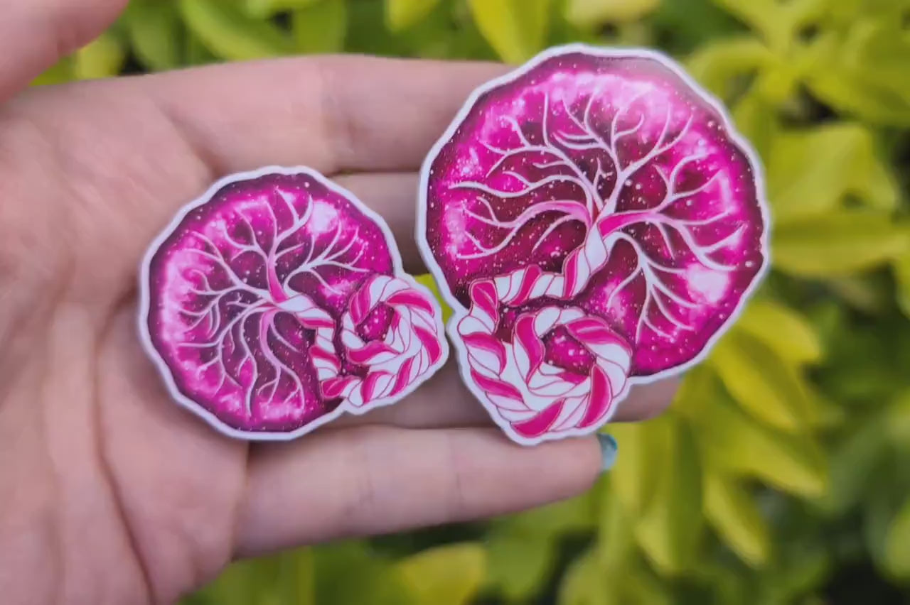 Placenta Magnet
