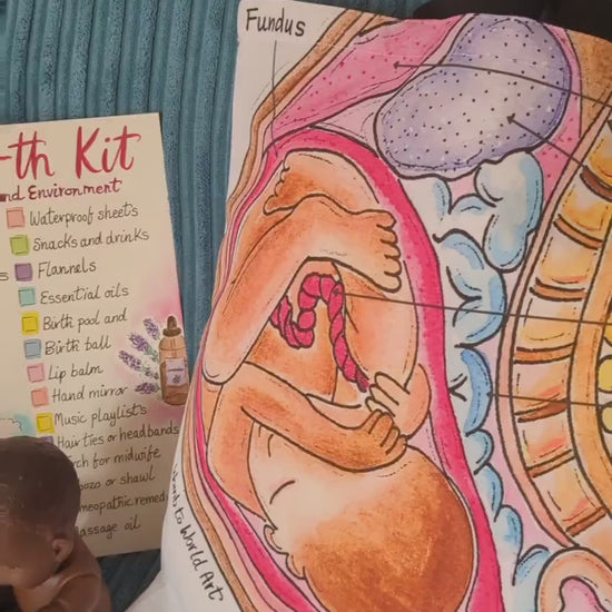 Student Midwife Bag