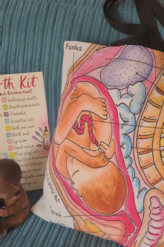 Student Midwife Bag