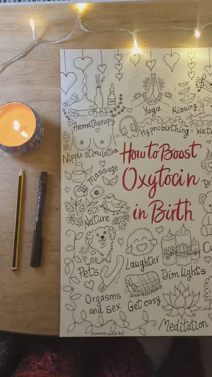 Oxytocin Birth Poster: Labour Hormones, Antenatal Education (A3 Printout)