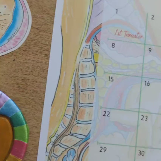 42 Weeks Pregnancy Countdown Calendar A3 PDF Download: Antenatal Education, Doula Tool (PDF Download)