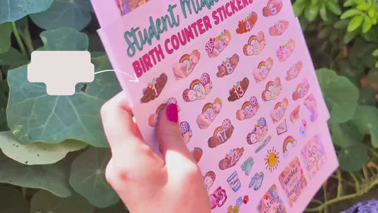 Birth Counter Planner Stickers