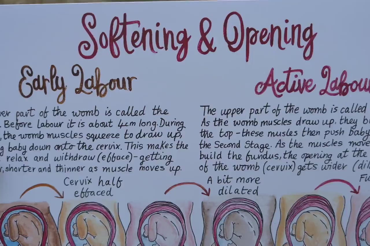 Hypnobirthing A3 Poster Teaching Tool