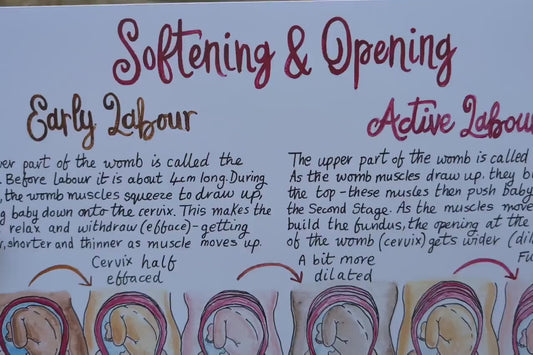 Hypnobirthing A3 Poster Teaching Tool