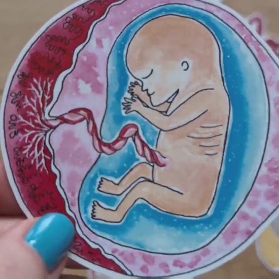 12 Week Fetus Sticker 8cm