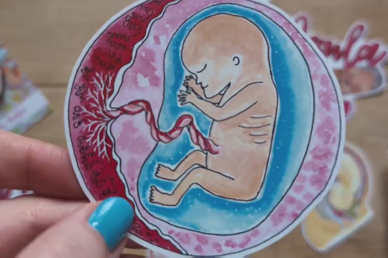 12 Week Fetus Sticker 8cm