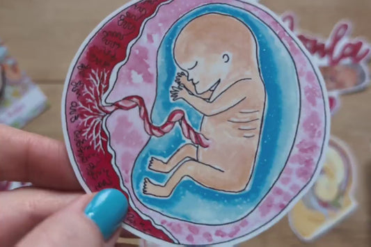 12 Week Fetus Sticker 8cm