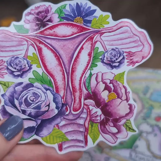 Uterus Anatomy Art Sticker 10cm Vinyl