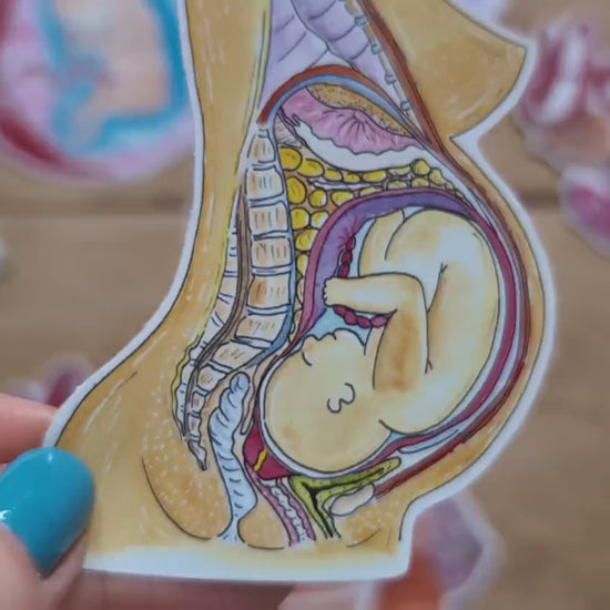 Student Midwife Sticker 8cm