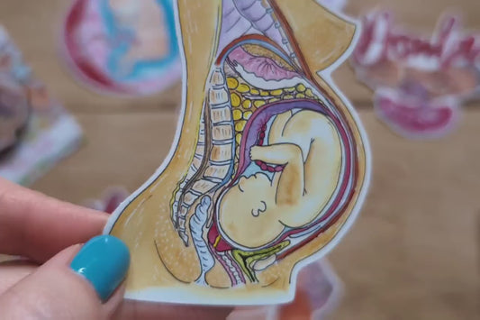 Student Midwife Sticker 8cm