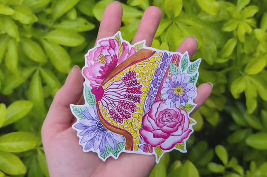 Breast Anatomy Art Sticker 10cm Vinyl