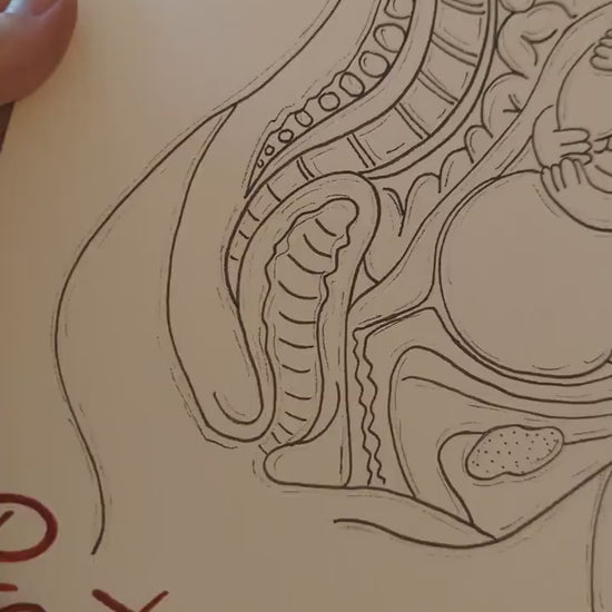 Ideal Position Baby in the Womb Affirmation LOA Download