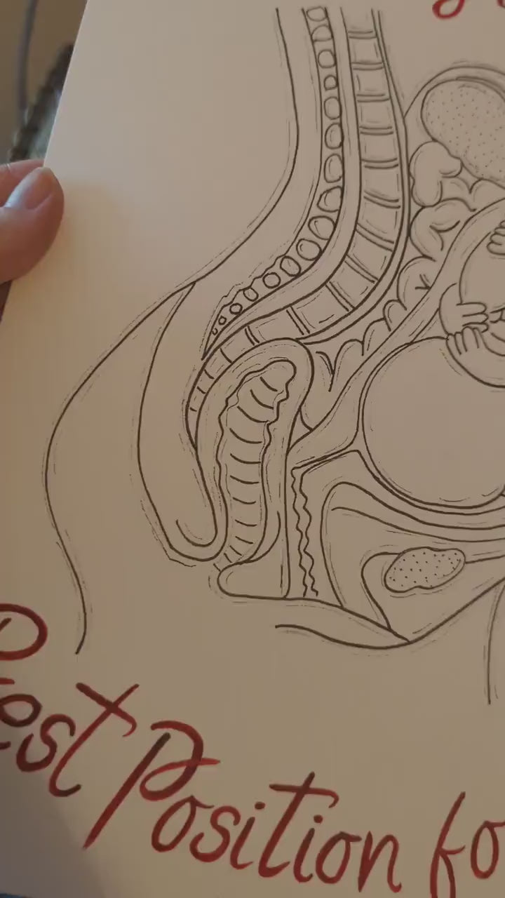 Ideal Position Baby in the Womb Affirmation LOA Download