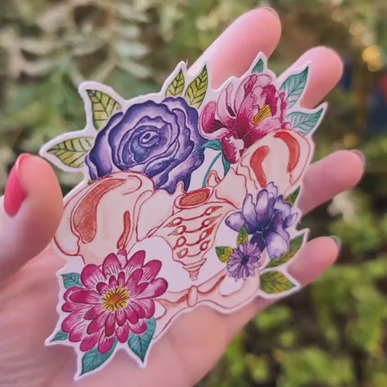 Pelvis Anatomy Art Sticker 10cm Vinyl