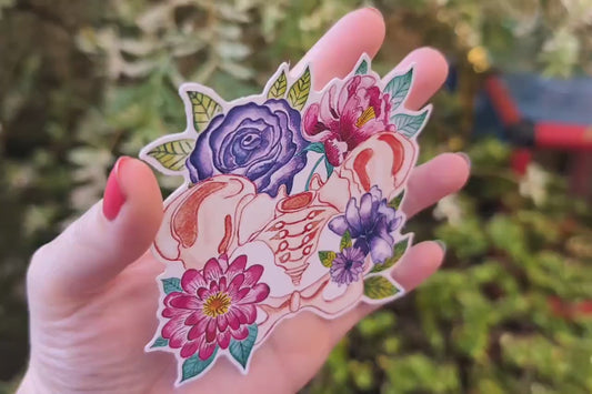 Pelvis Anatomy Art Sticker 10cm Vinyl